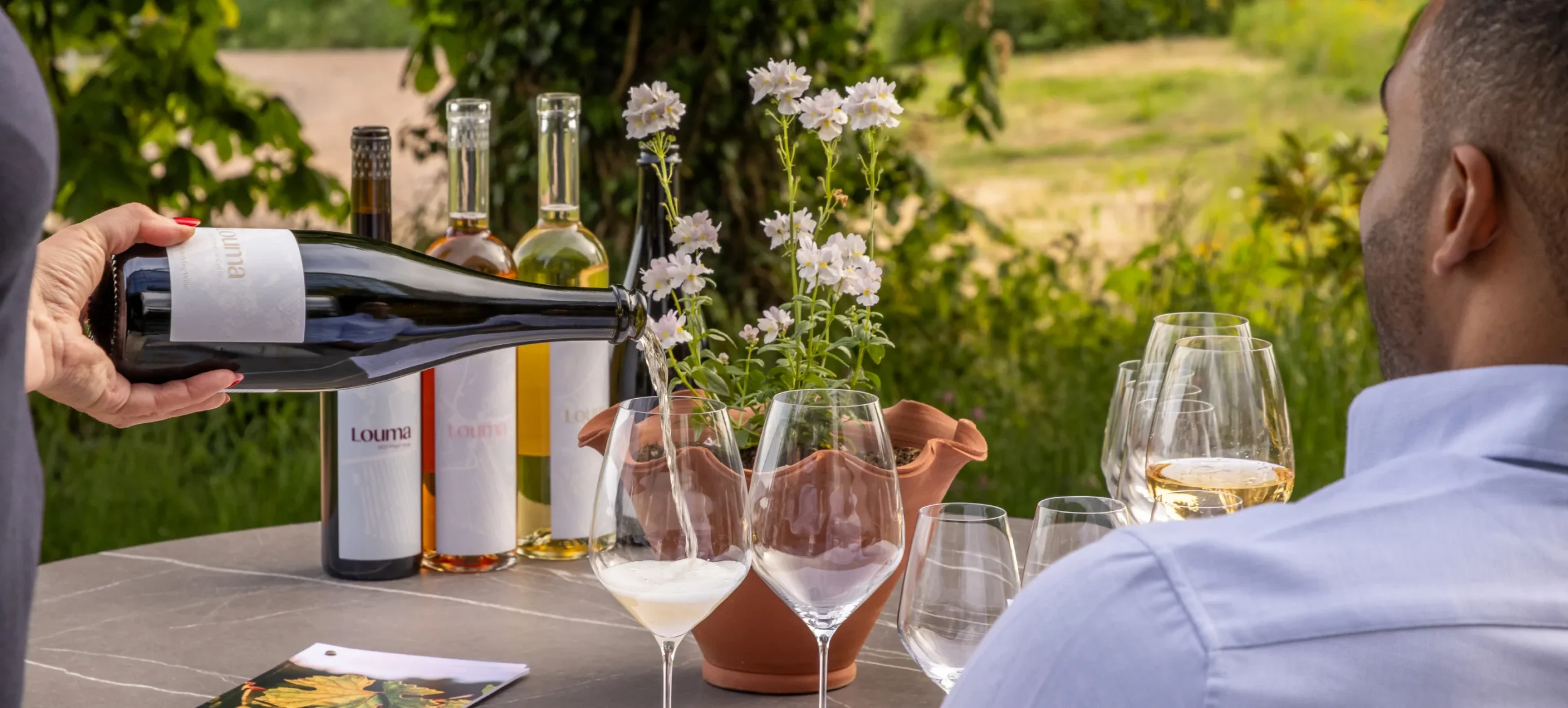 Wine Banner
